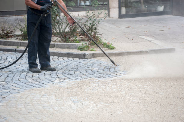 Best Gutter Cleaning  in Winnsboro, SC