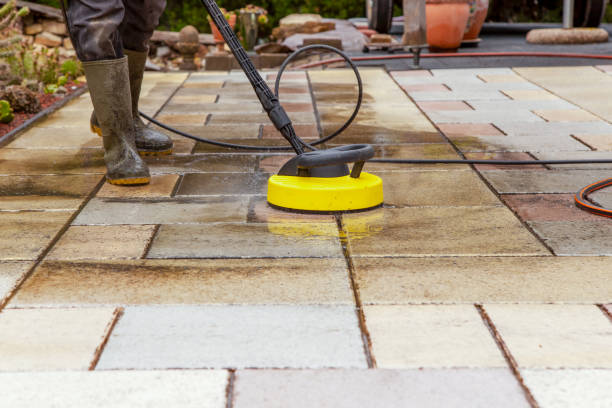 Best Animal Enclosure Cleaning  in Winnsboro, SC